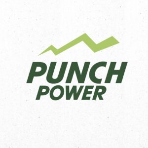 PUNCH POWERS